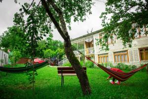 two hammocks in a yard in front of a building at Racha guest house MERO in Ambrolauri