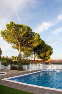 una piscina con due sedie bianche e un albero di La Berruca Casa Rural Malpartida de Cáceres a Malpartida de Cáceres