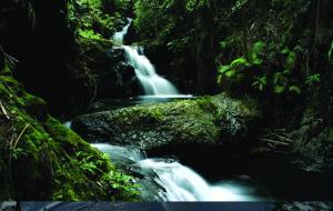 a waterfall in the middle of a forest at Killarney Towers Hotel & Leisure Centre in Killarney