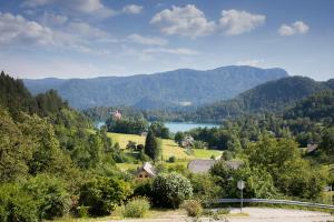 Blick auf ein Tal mit See und Bergen in der Unterkunft Studio ELITE in Bled
