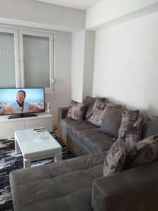 Il comprend un salon doté d'un canapé et d'une télévision à écran plat. dans l'établissement S.M Apartment Ohrid, à Ohrid