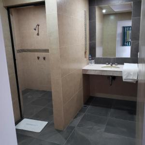 Gallery image of Hotel Aeropuerto in Toluca