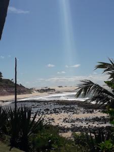 a beach with the ocean and a palm tree at Tiny House in Pipa