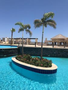 - une piscine avec des palmiers et de l'eau bleue dans l'établissement AlDau Heights Apartments, à Hurghada