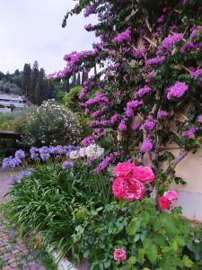 einen Garten mit rosa und lila Blumen an der Wand in der Unterkunft Ostello delle cartiere in Toscolano-Maderno