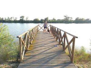 un hombre paseando a su perro en un puente sobre un lago en Apartamentos Blaucel, en Deltebre