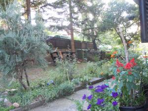 een tuin met een bos van bloemen en bomen bij Apartmani Sobe BILJANA in Arandjelovac