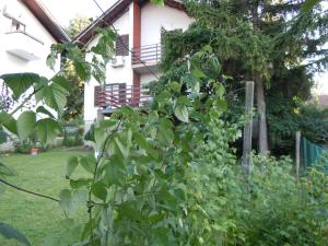 Zahrada ubytování Apartmani Sobe BILJANA