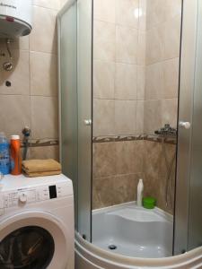 a shower in a bathroom with a washing machine at Studio apartman Budex in Đenovići +26 photos