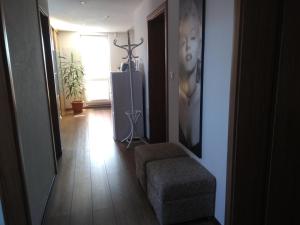 um corredor com um sofá, uma cadeira e uma janela em apartman Lusy em Veľká Lomnica