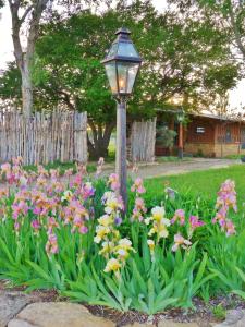 Photo de la galerie de l'établissement Mesa Verde Farm and Studio, à Cortez 18 autres photos