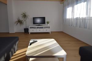 TV a/nebo společenská místnost v ubytování Ferienwohnung Gemeindematte
