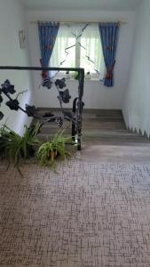 una mesa de cristal en una habitación con ventana en Pension Weinberg, en Rifiano