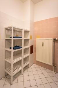 a bathroom with white shelves in a room with a shower at Flataid Apartment Obere Bahnstraße - Grazer Messe in Graz