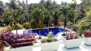 a garden with palm trees and a swimming pool at Colibri Villa in Maggona West