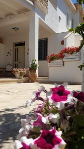 a pile of pink and white flowers in front of a house at La Casa del Sole in Santa Maria Del Focallo