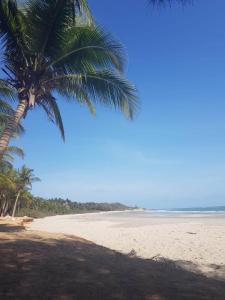 a beach with two palm trees and the ocean at Centre Touristique et Culturel Casamance in Diakène Ouolof