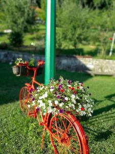 Zahrada ubytování Holiday Home Nektar Park