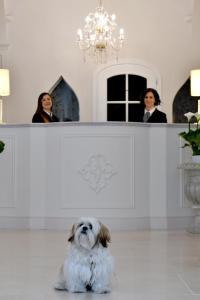 a dog sitting in front of a counter with two women at Minori Palace in Minori