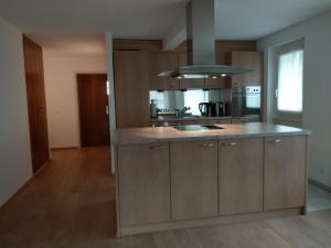 Kuchyň nebo kuchyňský kout v ubytování Haus Viktoria C + 6 fotografií