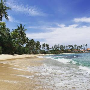 einen Sandstrand mit Palmen und dem Meer in der Unterkunft Silverlane Beach House in Matara