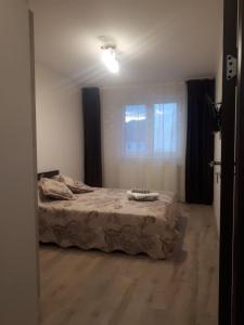 a bedroom with a bed and a window at Apartament Cosmin in Călimăneşti