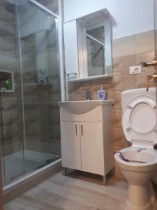 y baño con aseo, ducha y lavamanos. en Apartament Cosmin en Călimăneşti