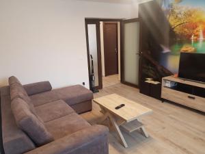 uma sala de estar com um sofá e uma televisão de ecrã plano em Apartament Cosmin em Călimăneşti