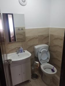 a bathroom with a toilet and a sink and a mirror at Apartament Cosmin in Călimăneşti
