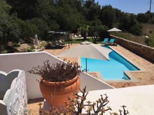 a potted plant sitting on a wall next to a pool at Montinho Boutique Studio in Benagil