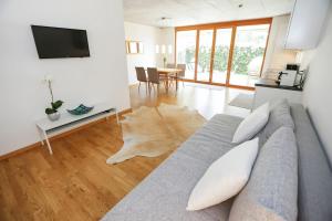 TV a/nebo společenská místnost v ubytování Gartenwohnung in prämierter Wohnanlage