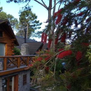 Un árbol de Navidad frente a una cabaña de madera en Cabañas Mapuche en Mar de las Pampas