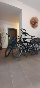 Jízda na kole v ubytování Apartmány Vila Singles nebo okolí