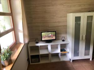 a tv sitting on a shelf in a room at Cihlářka - horský apartmán in Černý Dŭl