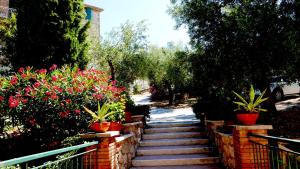 A garden outside Casa del sole