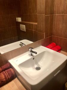Koupelna v ubytování Cihlářka - horský apartmán
