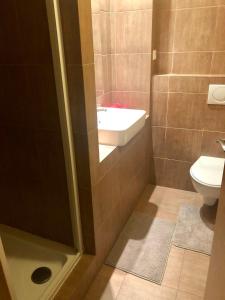 Koupelna v ubytování Cihlářka - horský apartmán + 31 fotografií