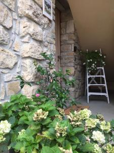 Φωτογραφία από το άλμπουμ του Da Agostino, la casa del latte σε Costa di Mezzate +42 φωτογραφίες