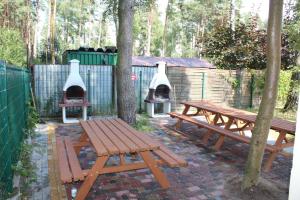 Ogród w obiekcie Sunny Adventure Baltic Apartament