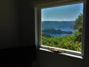 Táj az apartman közelében