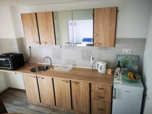 Kuchyň nebo kuchyňský kout v ubytování Apartman Borna