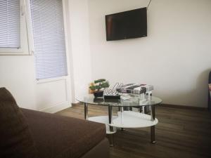 TV a/nebo společenská místnost v ubytování Apartman Borna