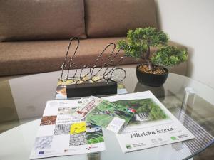Posezení v ubytování Apartman Borna