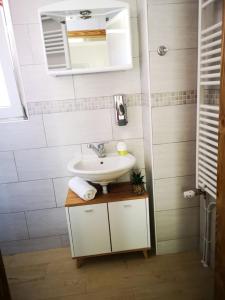 een badkamer met een wastafel en een spiegel bij Apartman Borna in Otočac