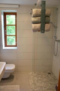 een badkamer met een douche, een toilet en handdoeken bij Kleine Auszeit in Kluis
