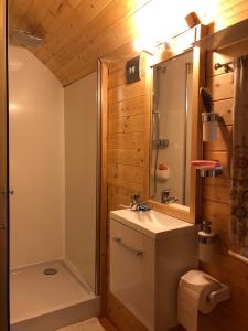 La salle de bains est pourvue d'un lavabo, d'une douche et de toilettes. dans l'établissement Millygite Chalet-on-wheels by the river, à Milly-la-Forêt