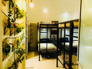 Palanda nebo palandy na pokoji v ubytování Friendly House Homestay