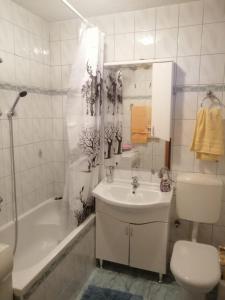 e bagno con lavandino, servizi igienici e vasca. di Apartman AS a Livno