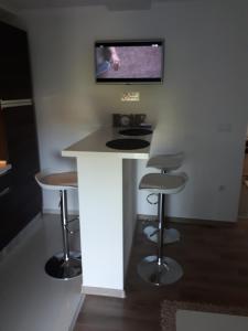 TV a/nebo společenská místnost v ubytování Apartman Škribulja