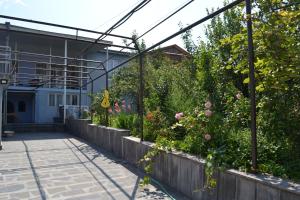 a garden in the back of a house at Old Gate in Telavi
